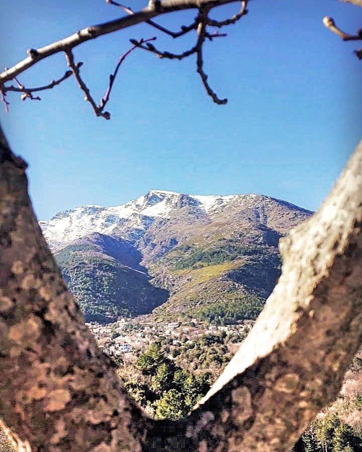 Auberge Casa Mathea Poggio-di-Venaco Bagian luar foto